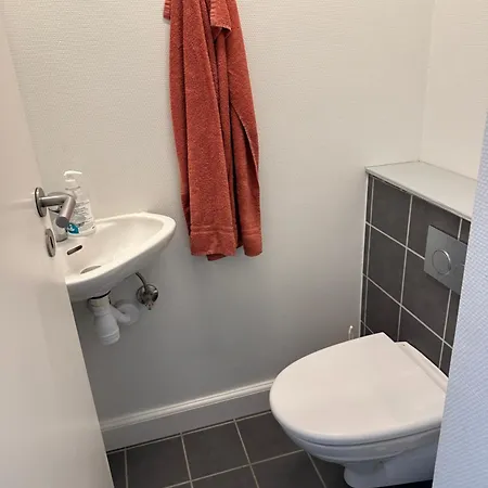 Fasan Sleeping 에스비에르